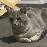 Photo of Maya 💖