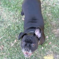 Photo of Lucy 