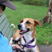 Photo of Leela