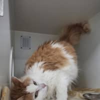 Photo of Kiki