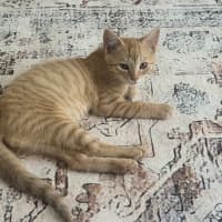 Photo of Leo