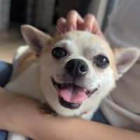 Photo of Pablo