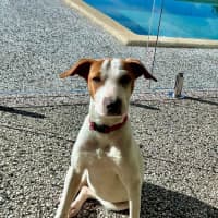Photo of Millie