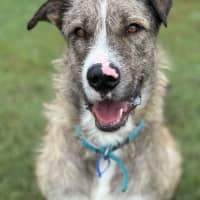 Photo of Turbo