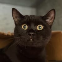 Photo of Lenny