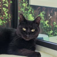 Photo of Ernest