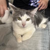 Photo of Maisy