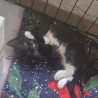 Photo of 💕 Rachel Green 💕