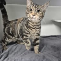 Photo of Tim Tam