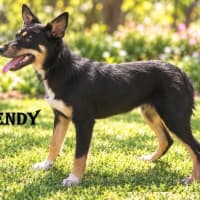 Photo of Wendy