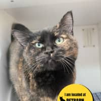 Photo of Abby 