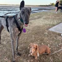 Photo of Rickie And Chippie