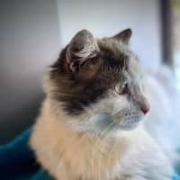 Photo of Franklin
