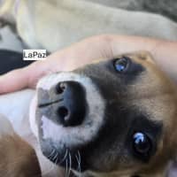 Photo of ⛰️ Coromandel's Litter (Part 2) ⛰️