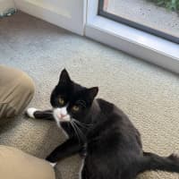 Photo of Pishi & Maloos