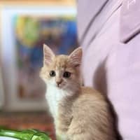 Photo of Arthur