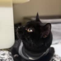 Photo of 👒 Bernadette 6269 👒