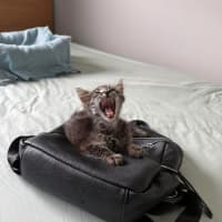 Photo of Bili