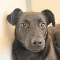 Photo of Darla