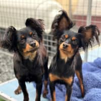 Photo of Dorothy & Lorelei
