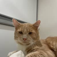 Photo of Ralphie