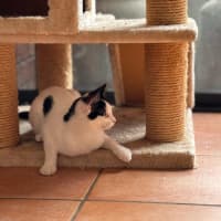 Photo of 🎀 Ribbon 🎀