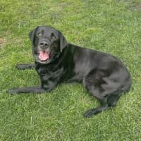 Photo of Roydon
