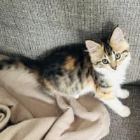 Photo of Cinnamon & Nutmeg