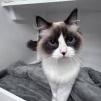 Photo of Clara 
