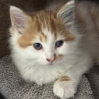 Photo of Smiggles Of Holdsworth