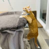 Photo of Scotty   Located In Preston