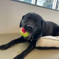 Photo of 🧀 Hugo 6240 🧀