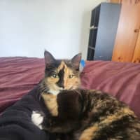 Photo of Sophie