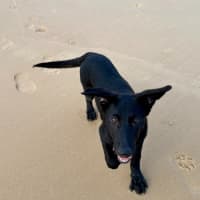 Photo of Bella