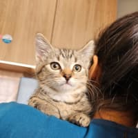 Photo of Margot   Located In Templestowe