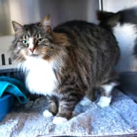 Photo of Tilly