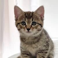 Photo of Navia & Rayne 