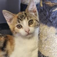 Photo of Lila 🌈☀️