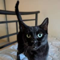 Photo of Lucy