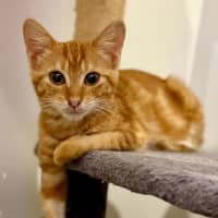 Photo of Kayak & Canoe