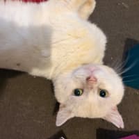Photo of Milton