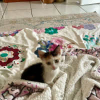 Photo of Penelope