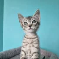 Photo of Calvin
