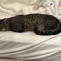 Photo of Loui