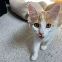 Photo of Ravioli