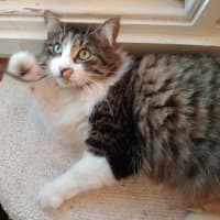 Photo of Ms. Ida Mae