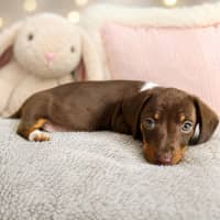 Photo of Mimi