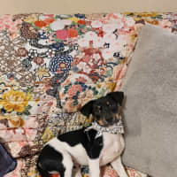Photo of Larry