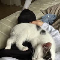 Photo of Bean And Biscuit