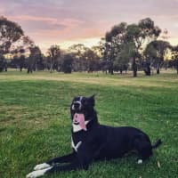 Photo of Maggie